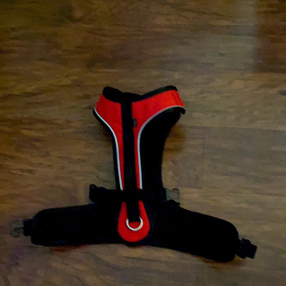 dog hiking harness